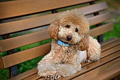 《战地2042》PC和次世代主机迎来限时64人模式